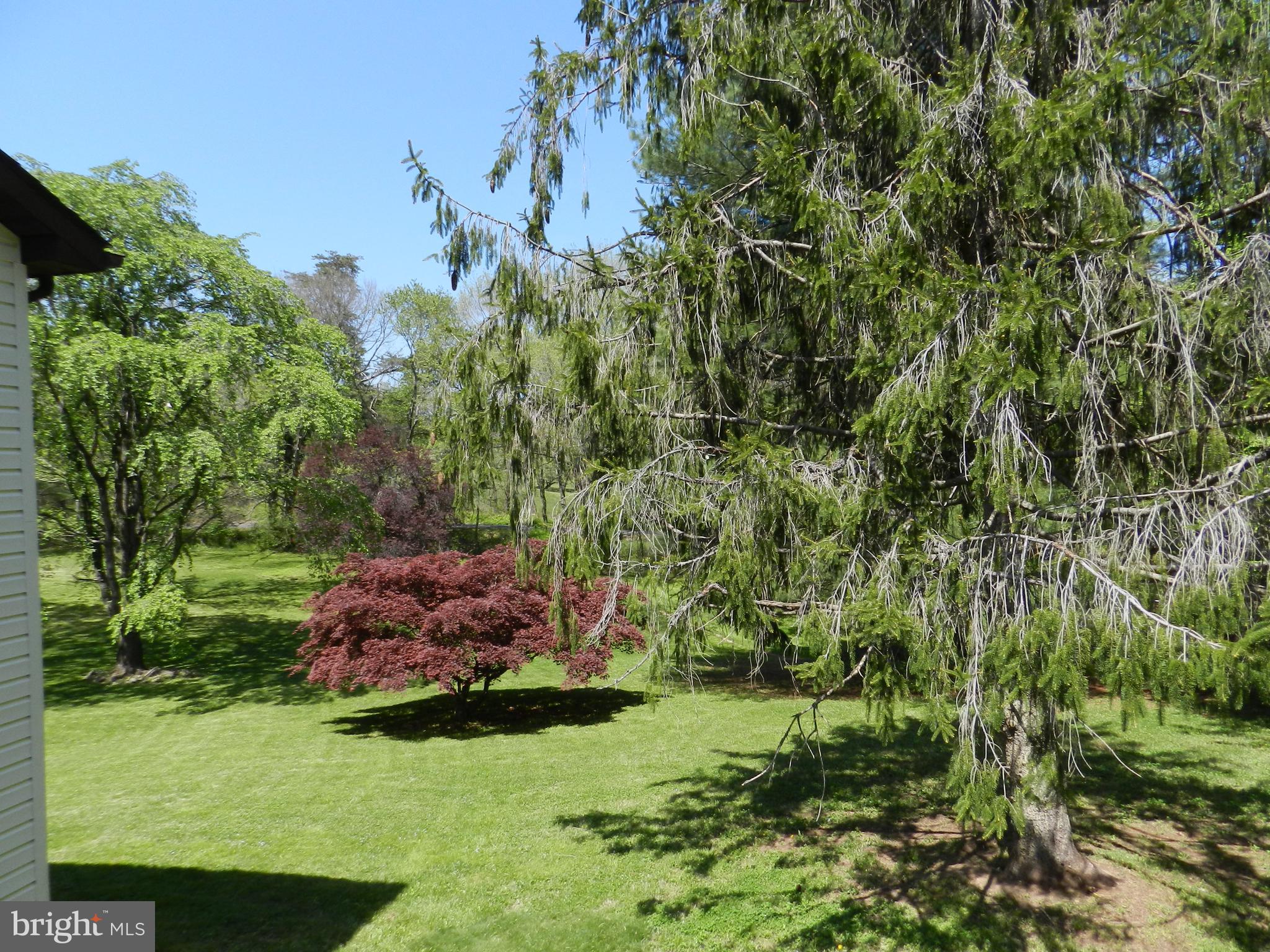 12039 Obannons Mill Road Boston, VA 22713 - Photo 45 of 73