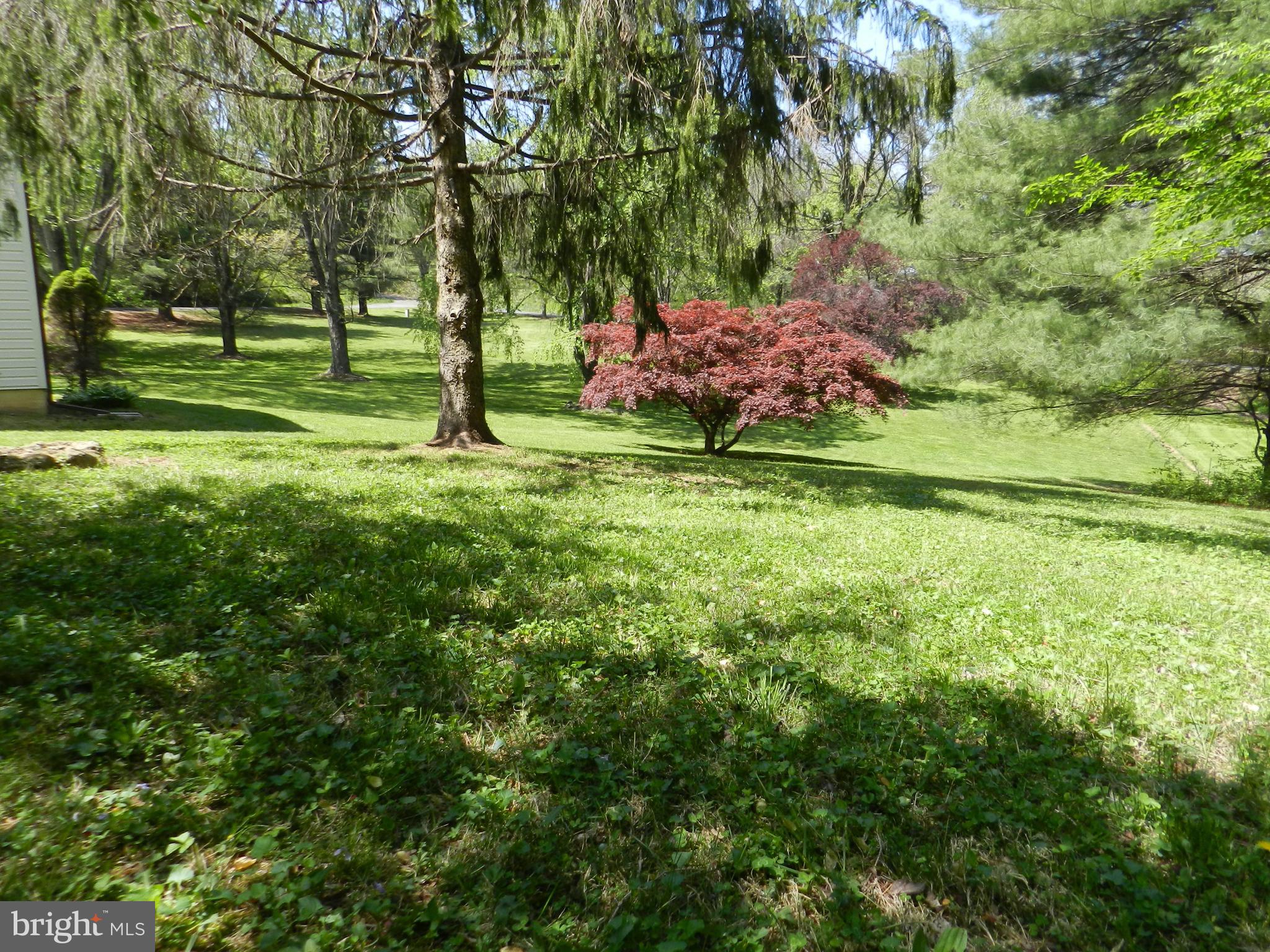 12039 Obannons Mill Road Boston, VA 22713 - Photo 67 of 73