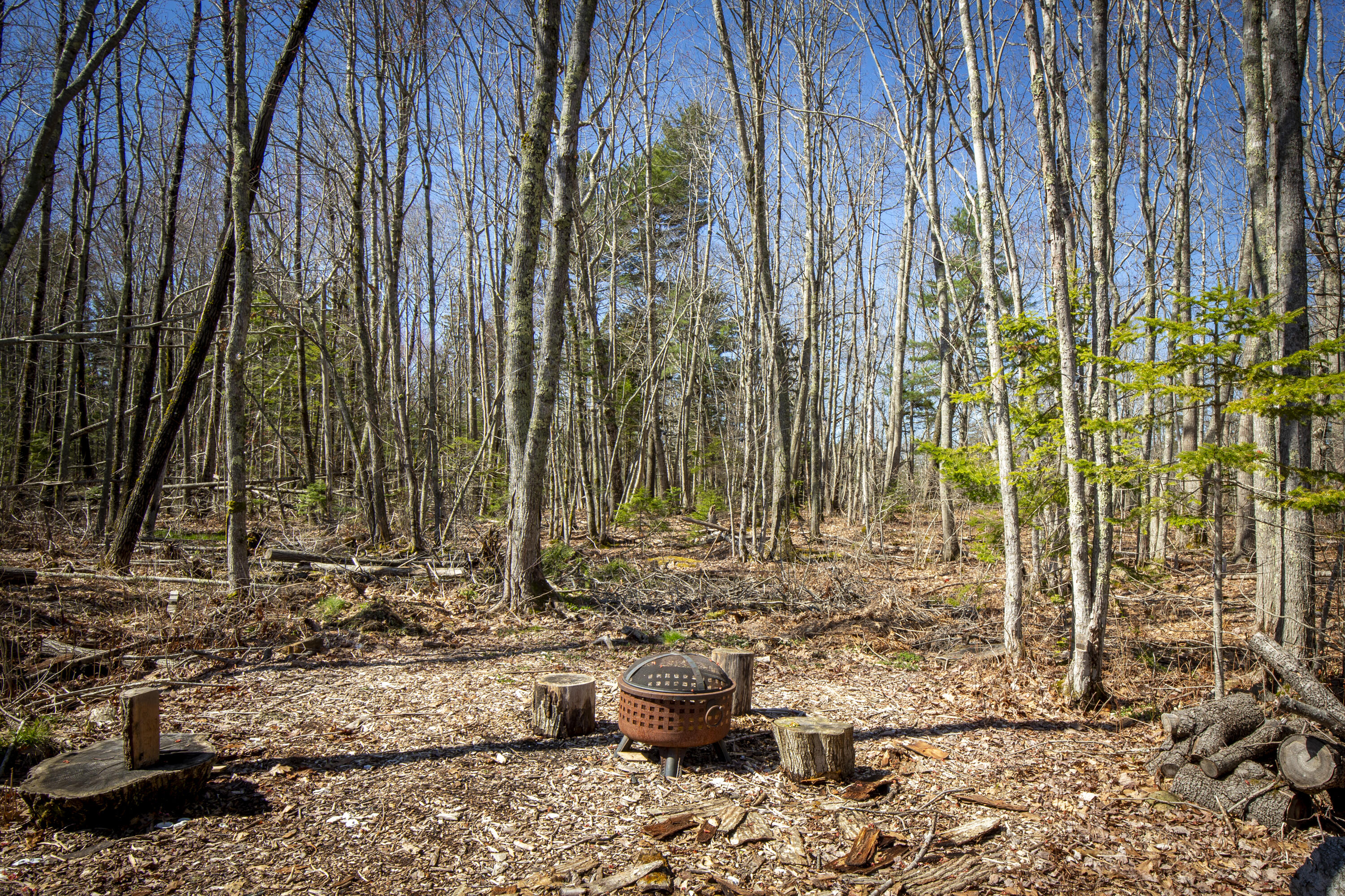29 Oak Run Owls Head, ME 04854 - Photo 29 of 34 29-29OakRun-OwlsHead-KS
