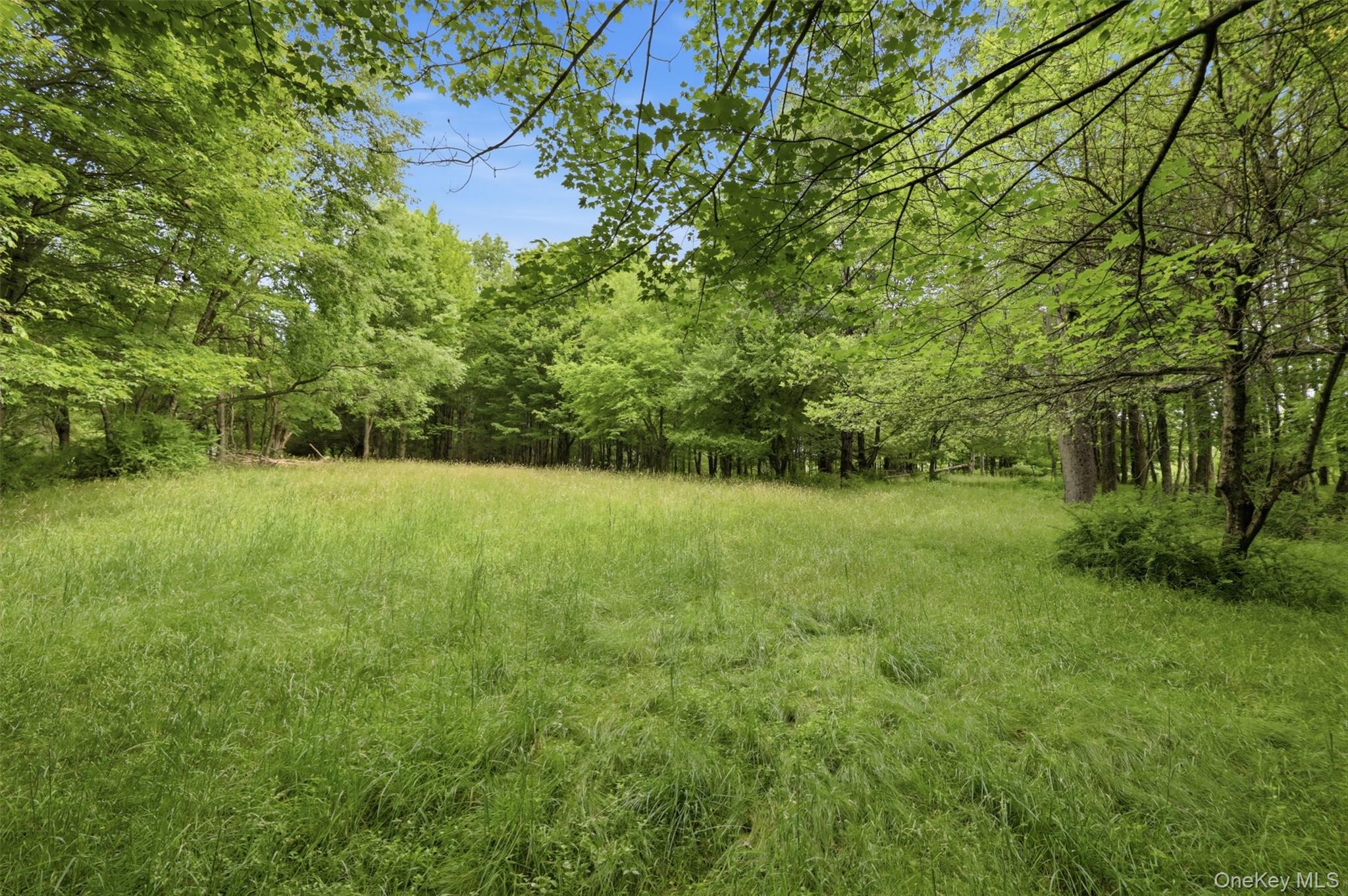 115 Cold Spring Road Liberty, NY 12754 - Photo 27 of 35