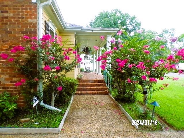 3249 Clarke Road Memphis, TN 38115 - Photo 2 of 24 a view of a flower arrangement in backyard