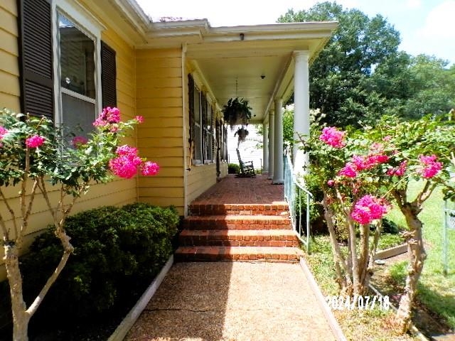 3249 Clarke Road Memphis, TN 38115 - Photo 3 of 24 a view of a potted flower in the corridor