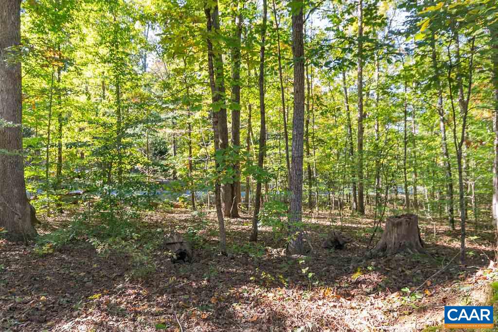 2608 Rio Mills Road Earlysville, VA 22936 - Photo 38 of 38 a view of outdoor space and trees