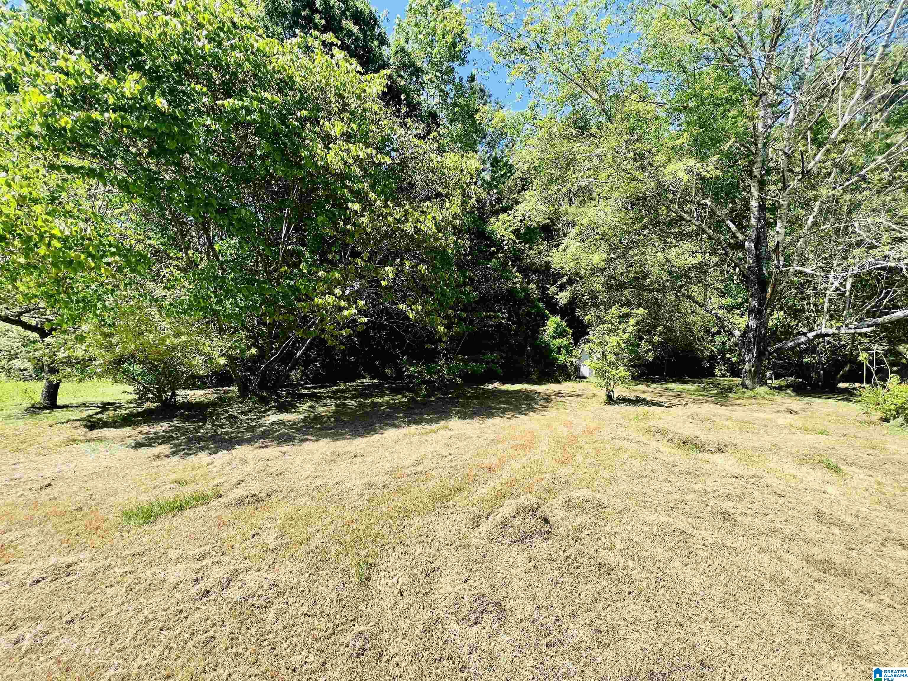 122 Mooney Road Columbiana, AL 35051 - Photo 8 of 9