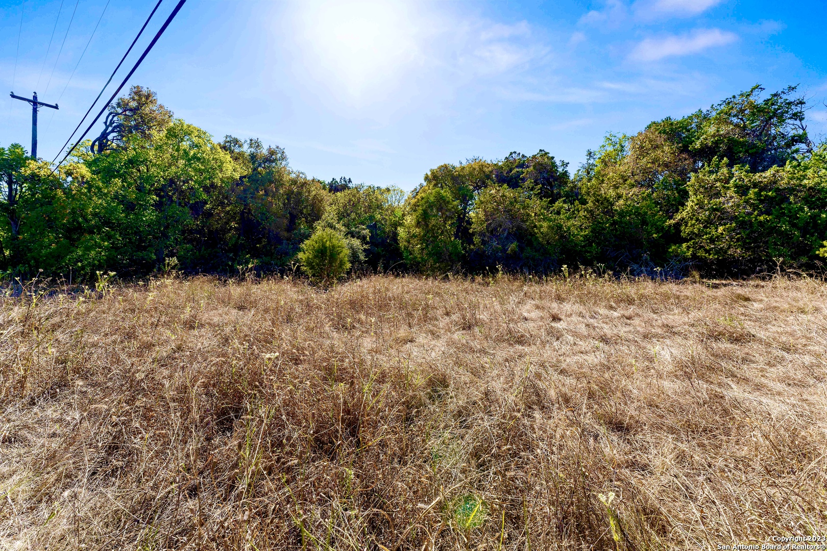 2946 Tanglewood Trail Spring Branch, TX 78070 - Photo 1 of 1 a view of a garden with plants and a bench