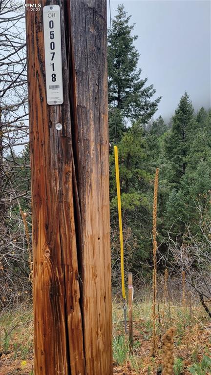 5325 Kulsa Road Cascade, CO 80809 - Photo 6 of 6 a picture of a door and outdoor space