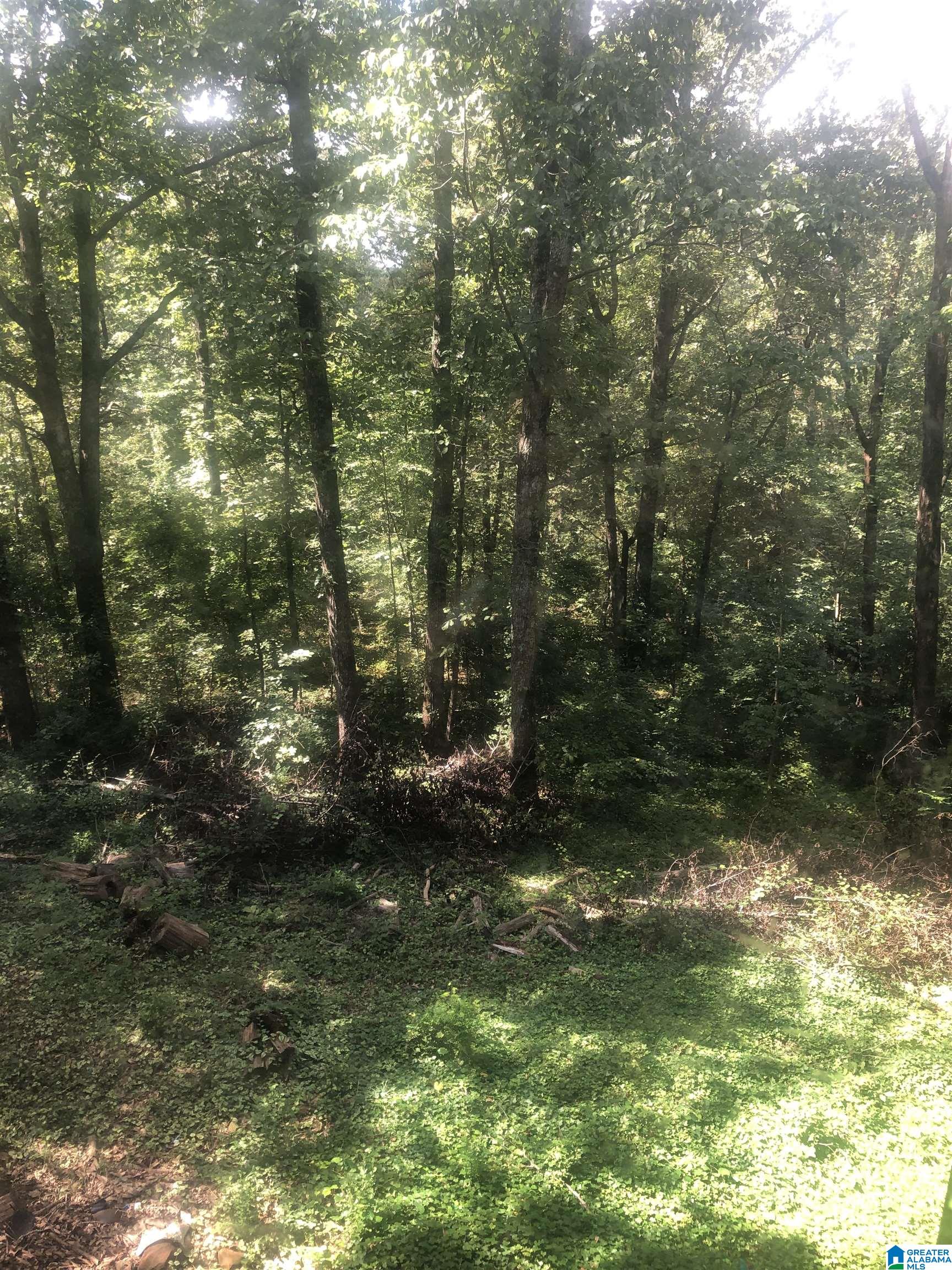4440 South Shades Crest Road Helena, AL 35022 - Photo 22 of 44