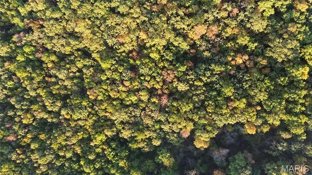 $78,000 | 5-acres West Lions Club Drive, Rolla, MO 65401