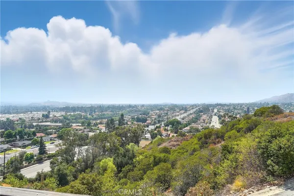 an aerial view of a house with a yard and flowers