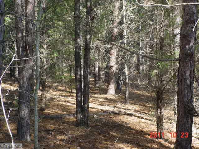 0 Simerson Road Linwood, NC 27299 - Photo 1 of 5 Land. View from front after you get past the over growth at the road. This is a right pretty tract of land.