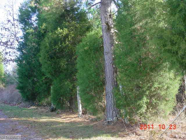 0 Simerson Road Linwood, NC 27299 - Photo 4 of 5 Land. Close up view from left side. Lot begins roughly at wooded area according to map.