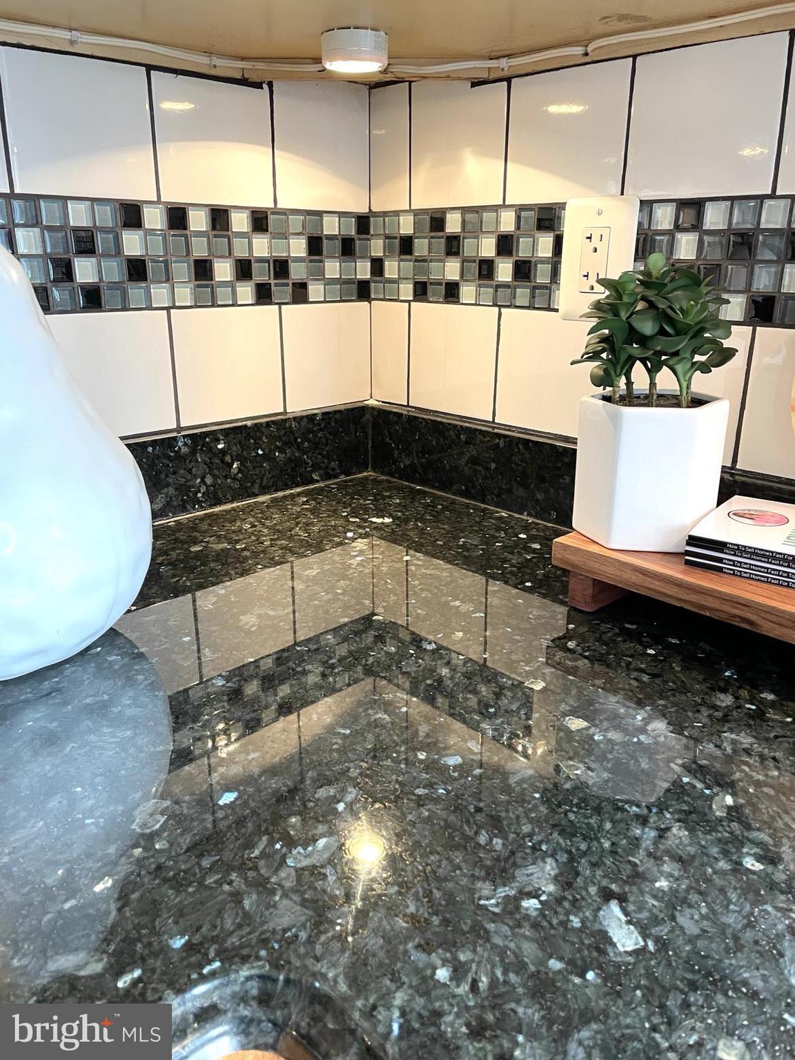 203 South Courthouse Road Arlington, VA 22204 - Photo 13 of 43 a view of a living room and kitchen view