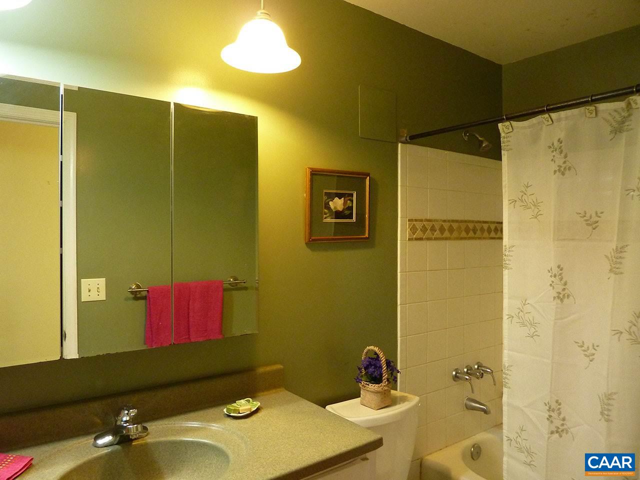 720 Village Road Charlottesville, VA 22903 - Photo 15 of 22 a bathroom with a sink and a mirror