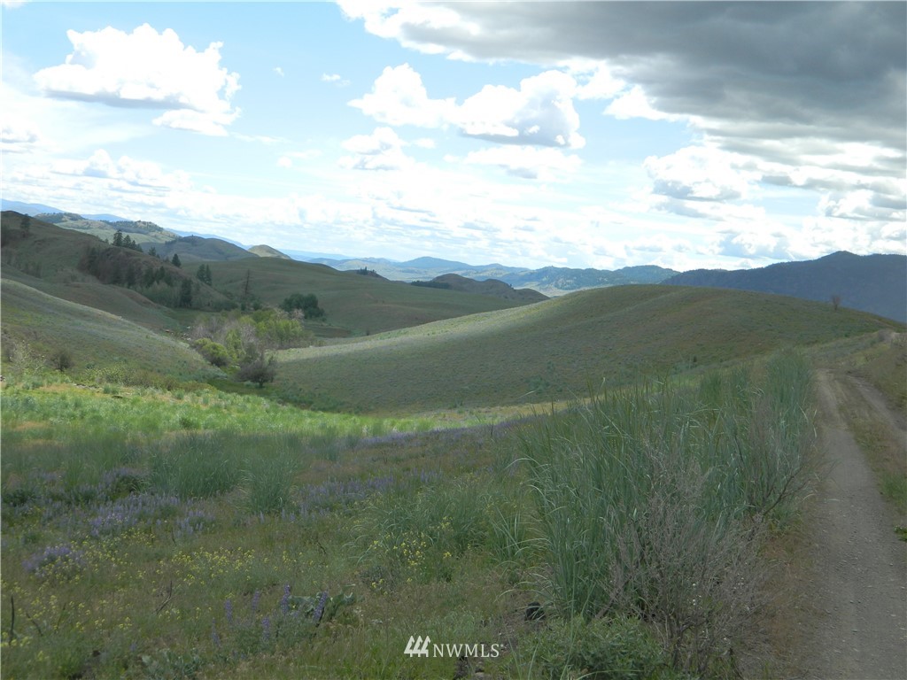 15 Mertsen Road Oroville, WA 98844 - Photo 16 of 23 Gallery Image 16