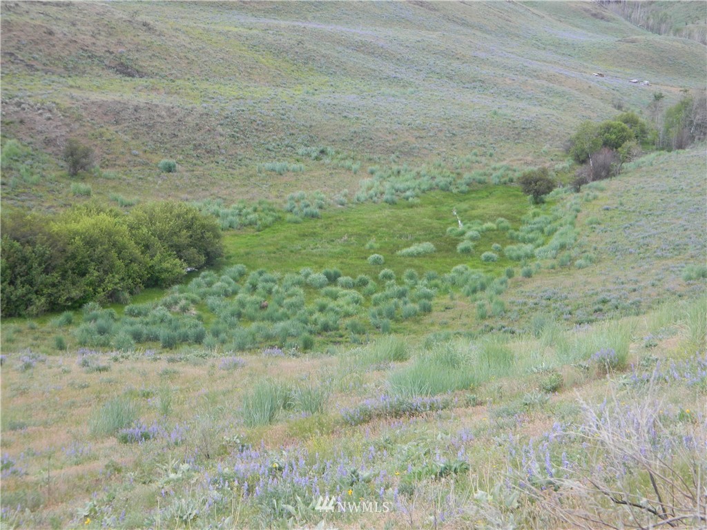 15 Mertsen Road Oroville, WA 98844 - Photo 21 of 23 Gallery Image 21
