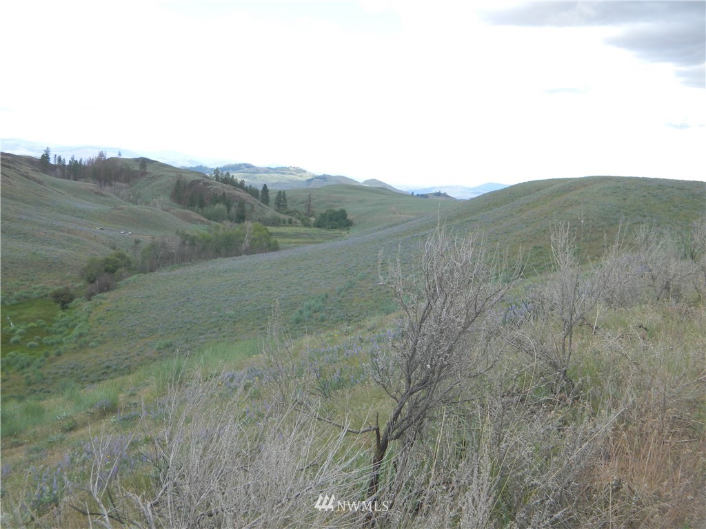 15 Mertsen Road Oroville, WA 98844 - Photo 23 of 23 Gallery Image 23