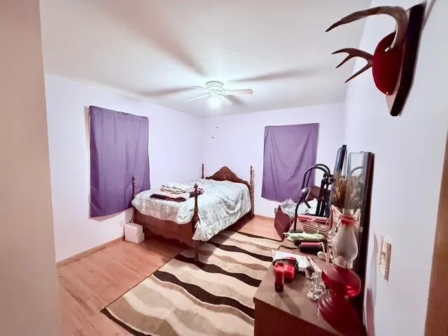 $95,000 | 315 Palmer Street, Alpha, MN 56111