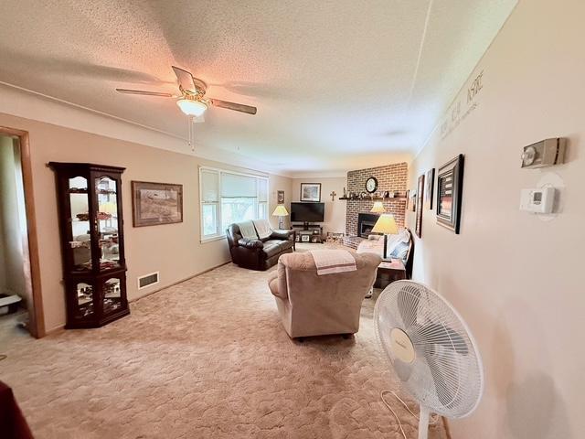 315 Palmer Street Alpha, MN 56111 - Photo 8 of 21