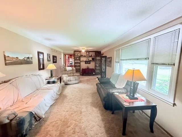 $95,000 | 315 Palmer Street, Alpha, MN 56111