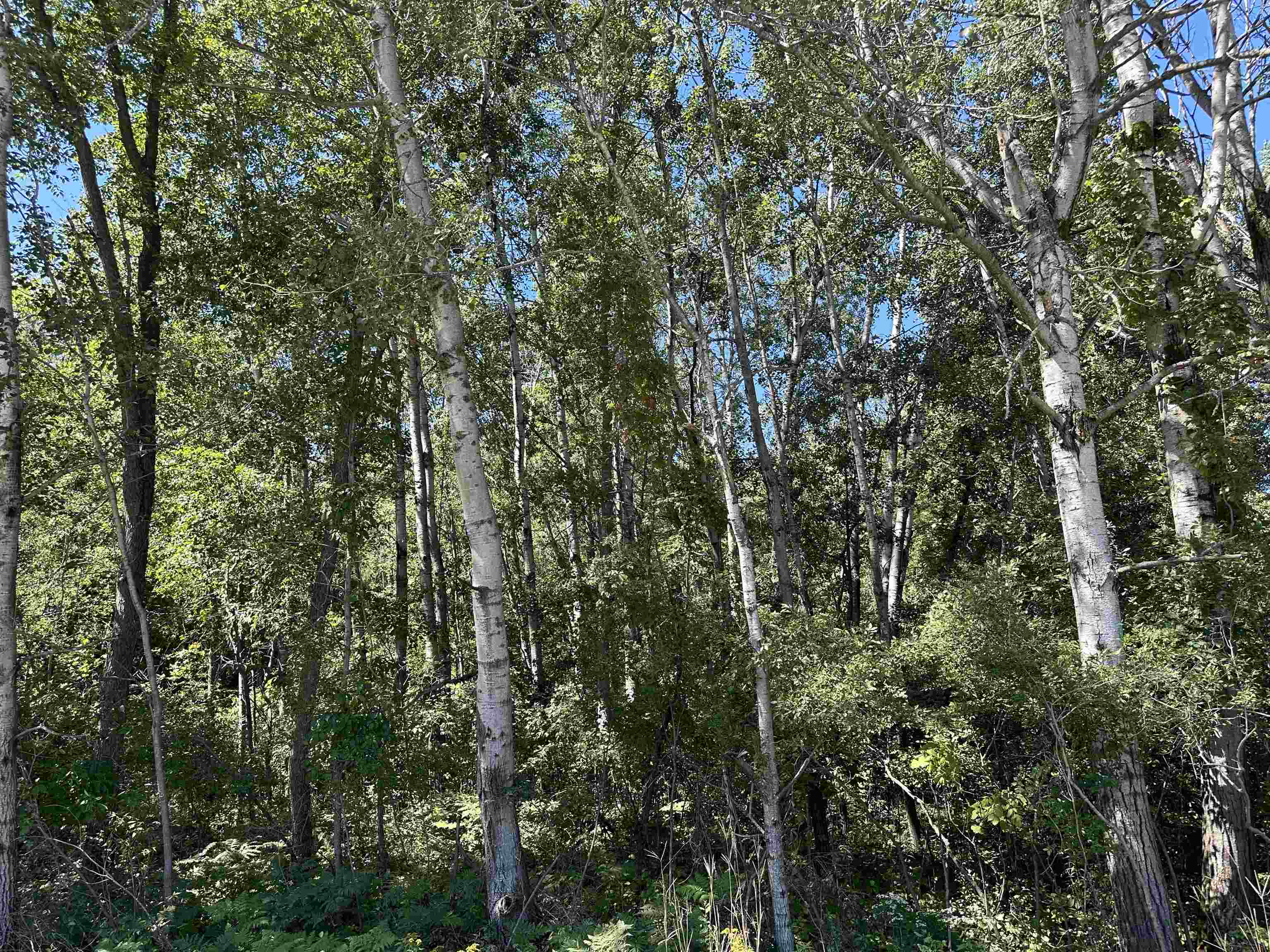 Kna Conrad Road Standish, MI 48658 - Photo 11 of 18