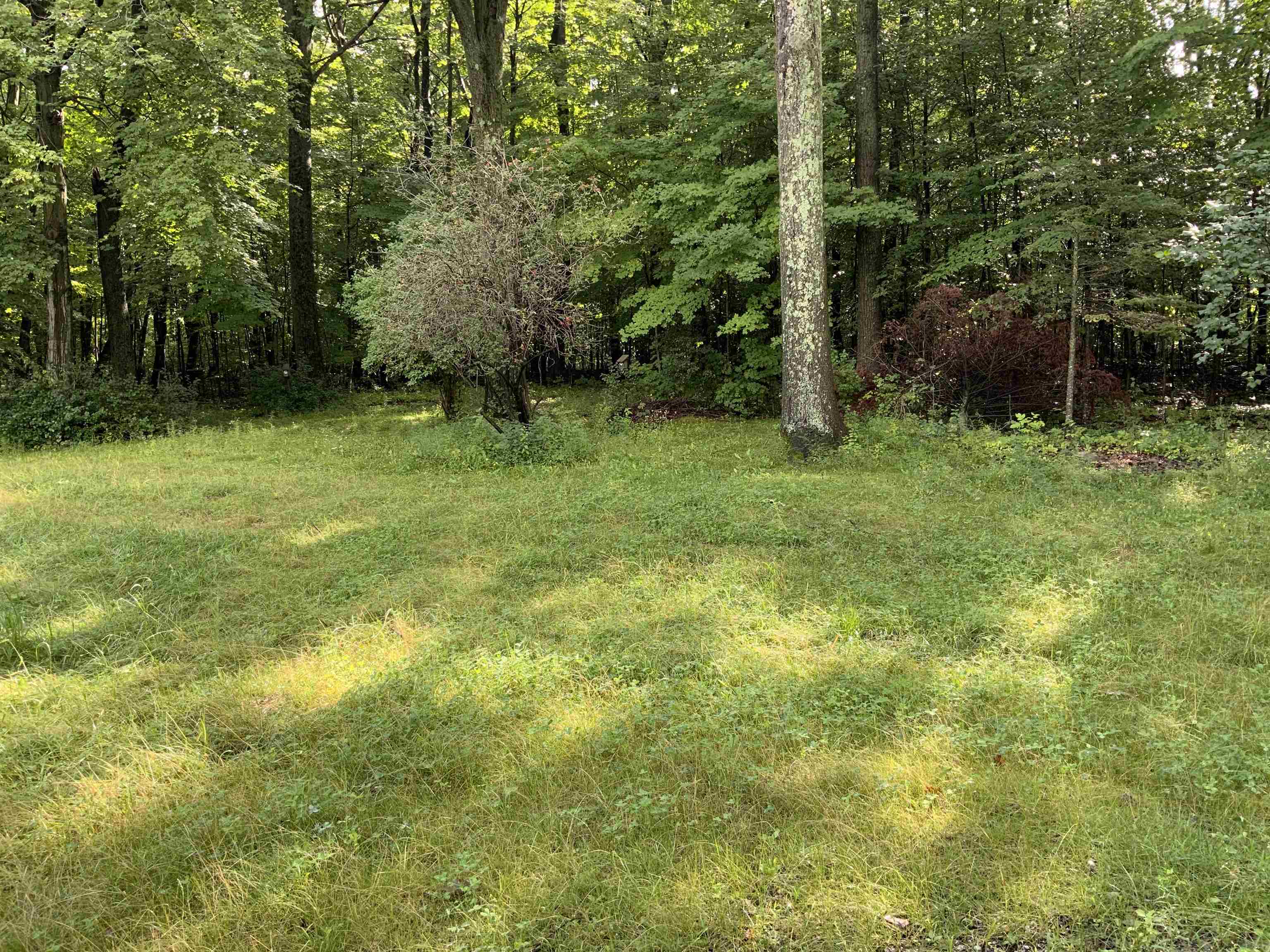138 Elmendorf Road Shoreham, VT 05770 - Photo 4 of 5