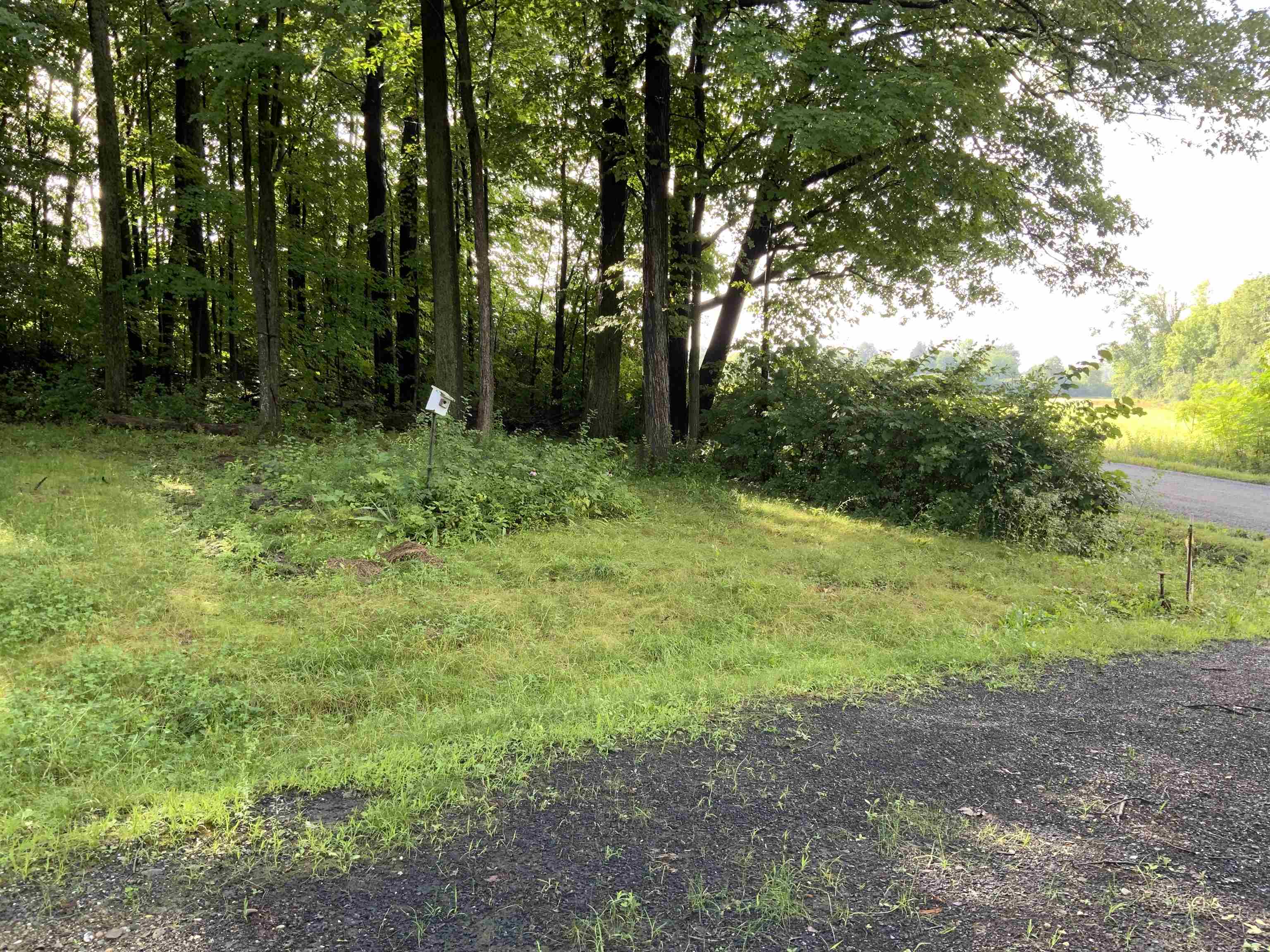 138 Elmendorf Road Shoreham, VT 05770 - Photo 5 of 5