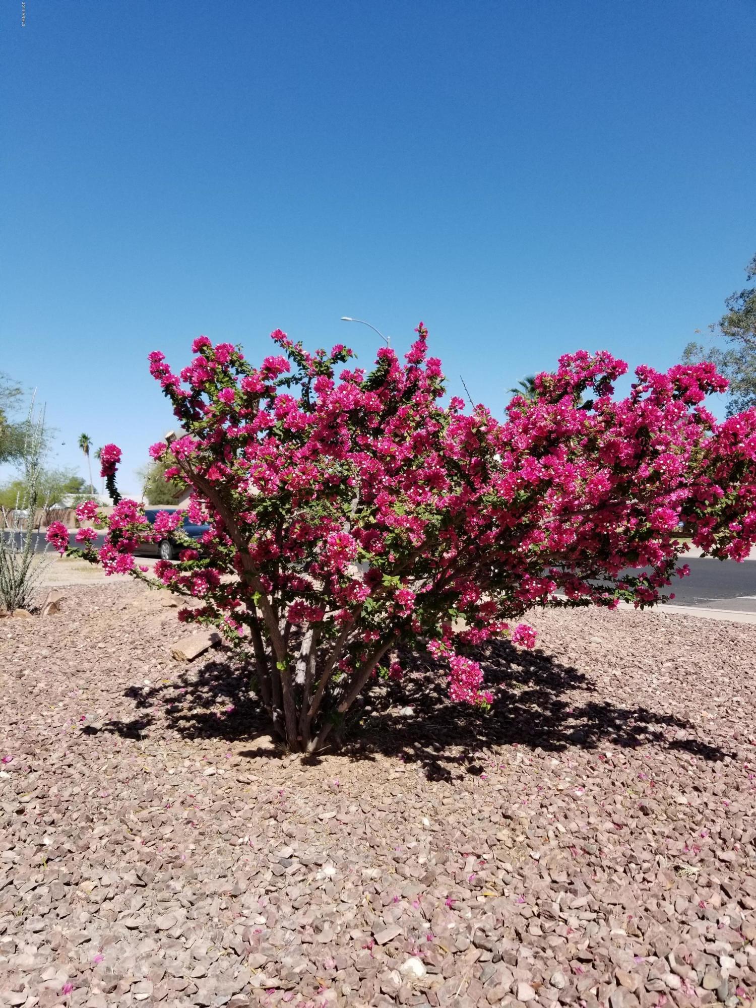 1425 West Utopia Road Phoenix, AZ 85027 - Photo 34 of 35 20180414_100943