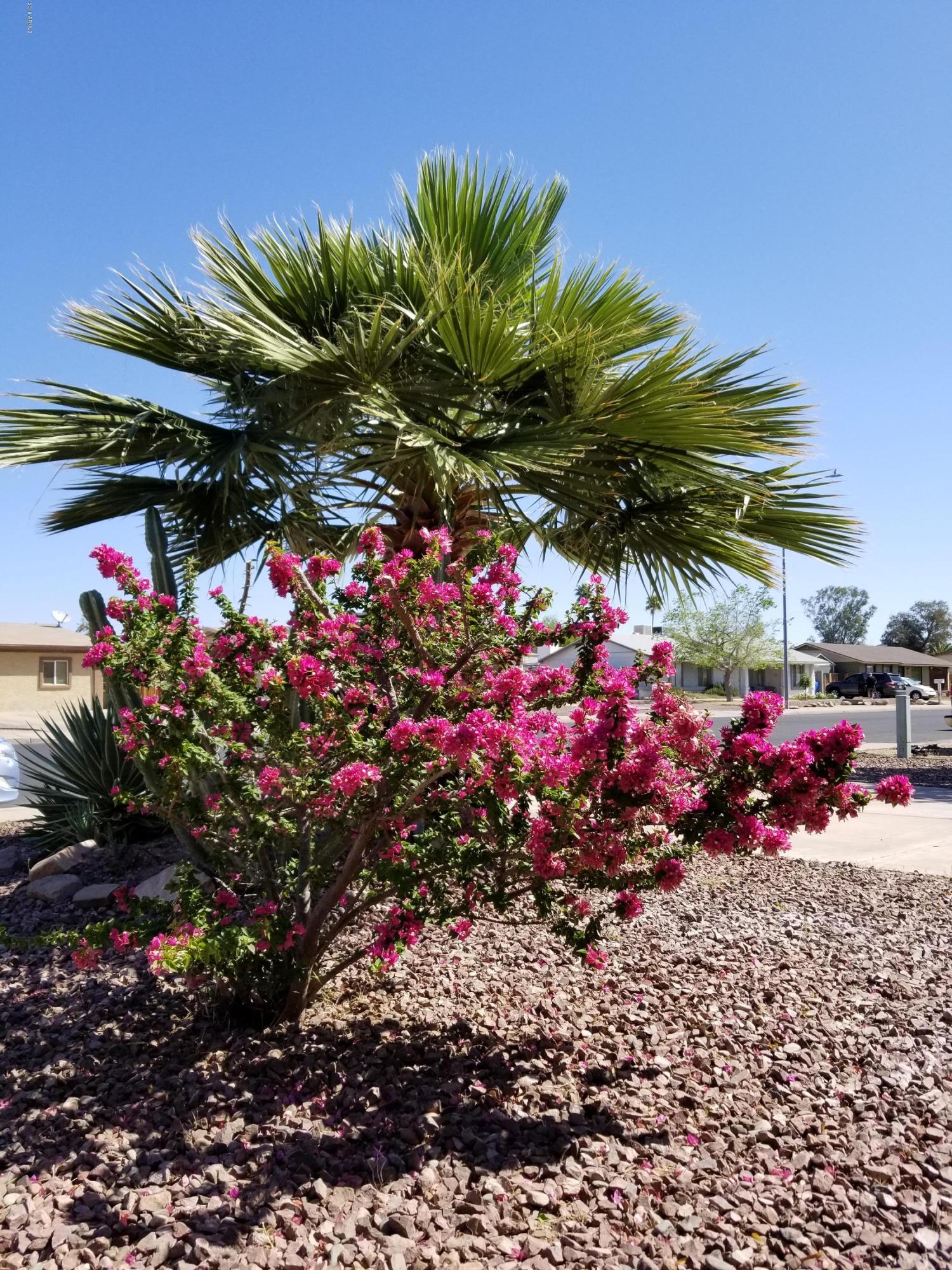 1425 West Utopia Road Phoenix, AZ 85027 - Photo 35 of 35 20180414_100955