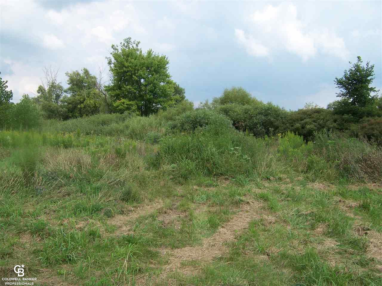 2088 Kinney Road Memphis, MI 48041 - Photo 4 of 5