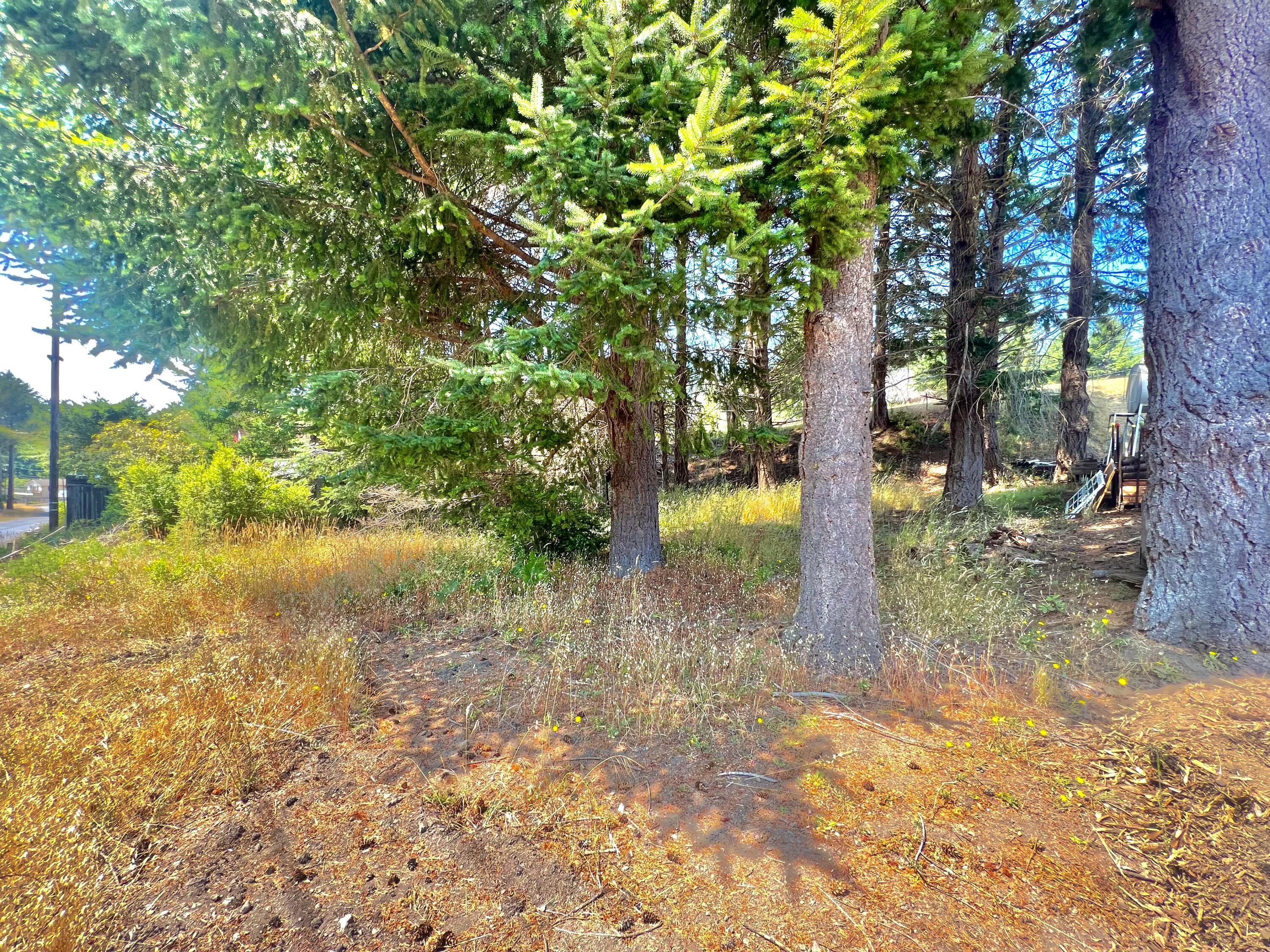 63 Spring Road Shelter Cove, CA 95589 - Photo 2 of 5 IMG_8520