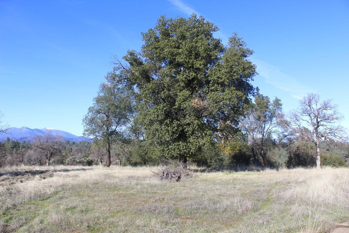 6832 Happy Valley Road Anderson, CA 96007 - Photo 11 of 17 Happy Valley Land 010