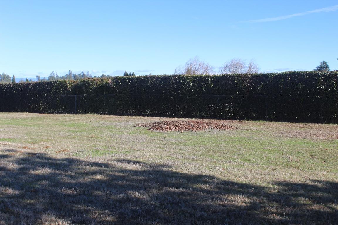6832 Happy Valley Road Anderson, CA 96007 - Photo 4 of 17 Happy Valley Land 003
