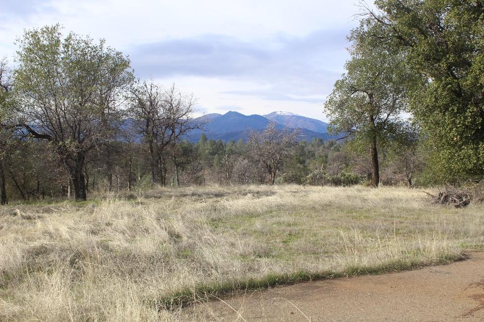 6832 Happy Valley Road Anderson, CA 96007 - Photo 5 of 17 Happy Valley Land 039