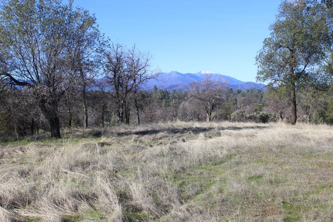 6832 Happy Valley Road Anderson, CA 96007 - Photo 10 of 17 Happy Valley Land 009