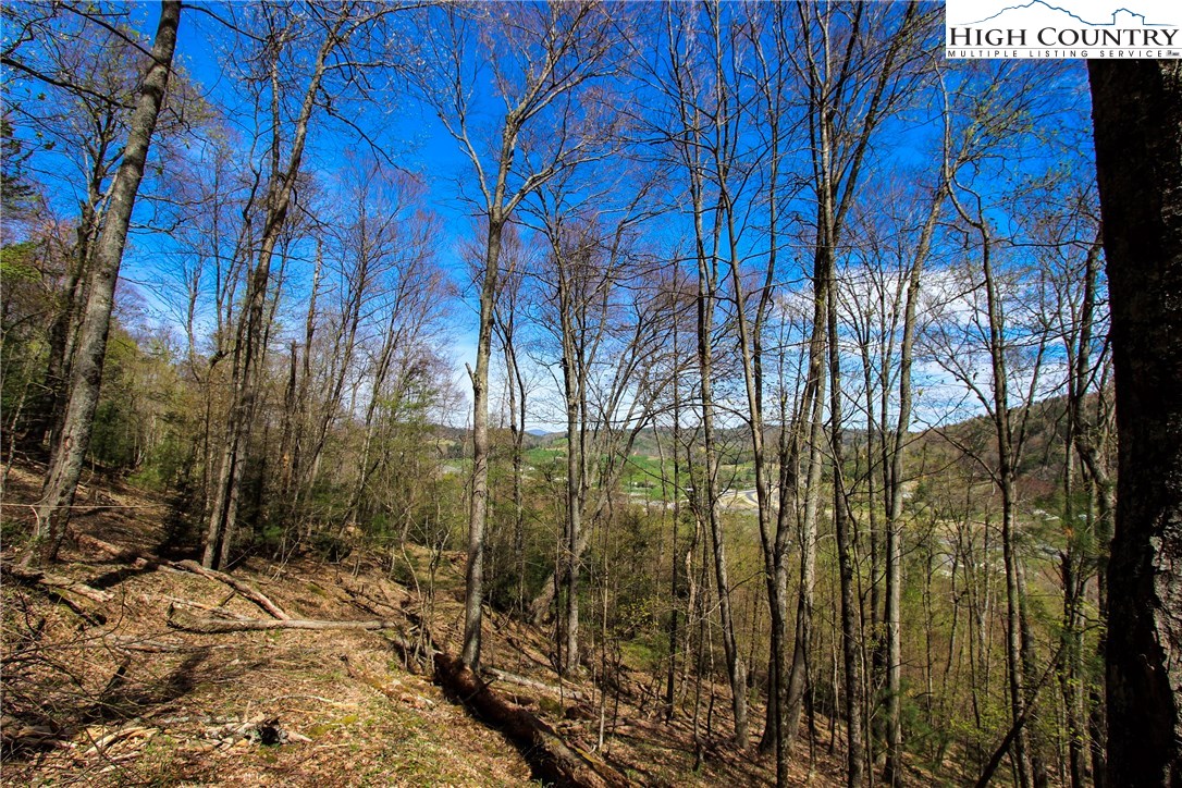 Lot 7 Moretz Road Deep Gap, NC 28618 - Photo 5 of 21 a view of forest