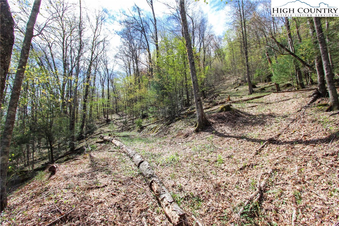 Lot 7 Moretz Road Deep Gap, NC 28618 - Photo 6 of 21 a view of outdoor space with trees