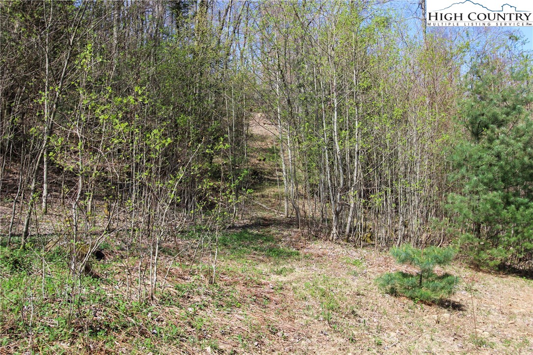 Lot 7 Moretz Road Deep Gap, NC 28618 - Photo 8 of 21 a view of a pathway of a building
