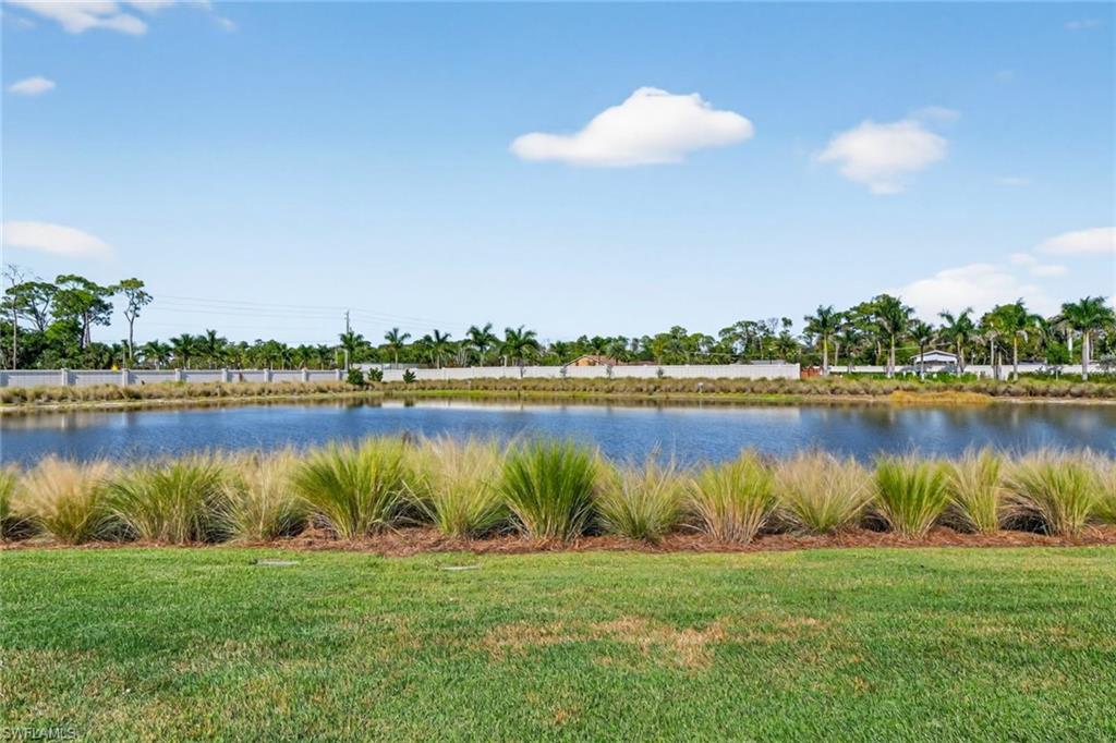 8813 Yucatan Court Naples, FL 34113 - Photo 33 of 43 Water view from rear Yard