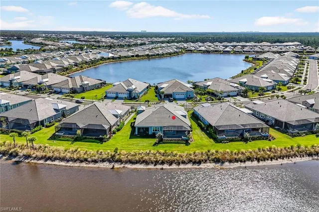 a view of a park with palm trees