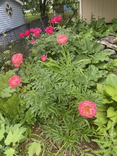 1007 Cross Road Eagan, MN 55123 - Photo 40 of 46