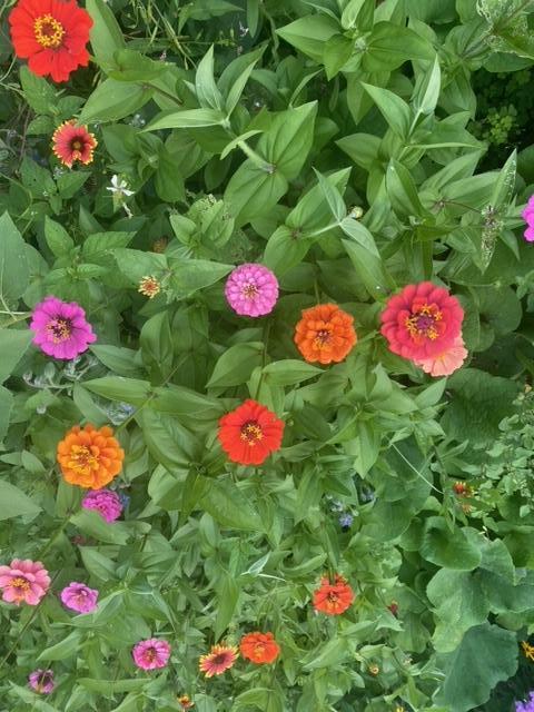 1007 Cross Road Eagan, MN 55123 - Photo 41 of 46