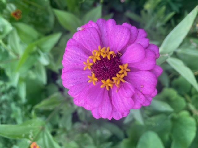 1007 Cross Road Eagan, MN 55123 - Photo 43 of 46