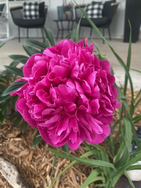 1007 Cross Road Eagan, MN 55123 - Photo 44 of 46