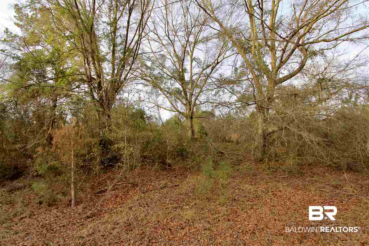 0 Sexton Brg Road Luverne, AL 36049 - Photo 45 of 50
