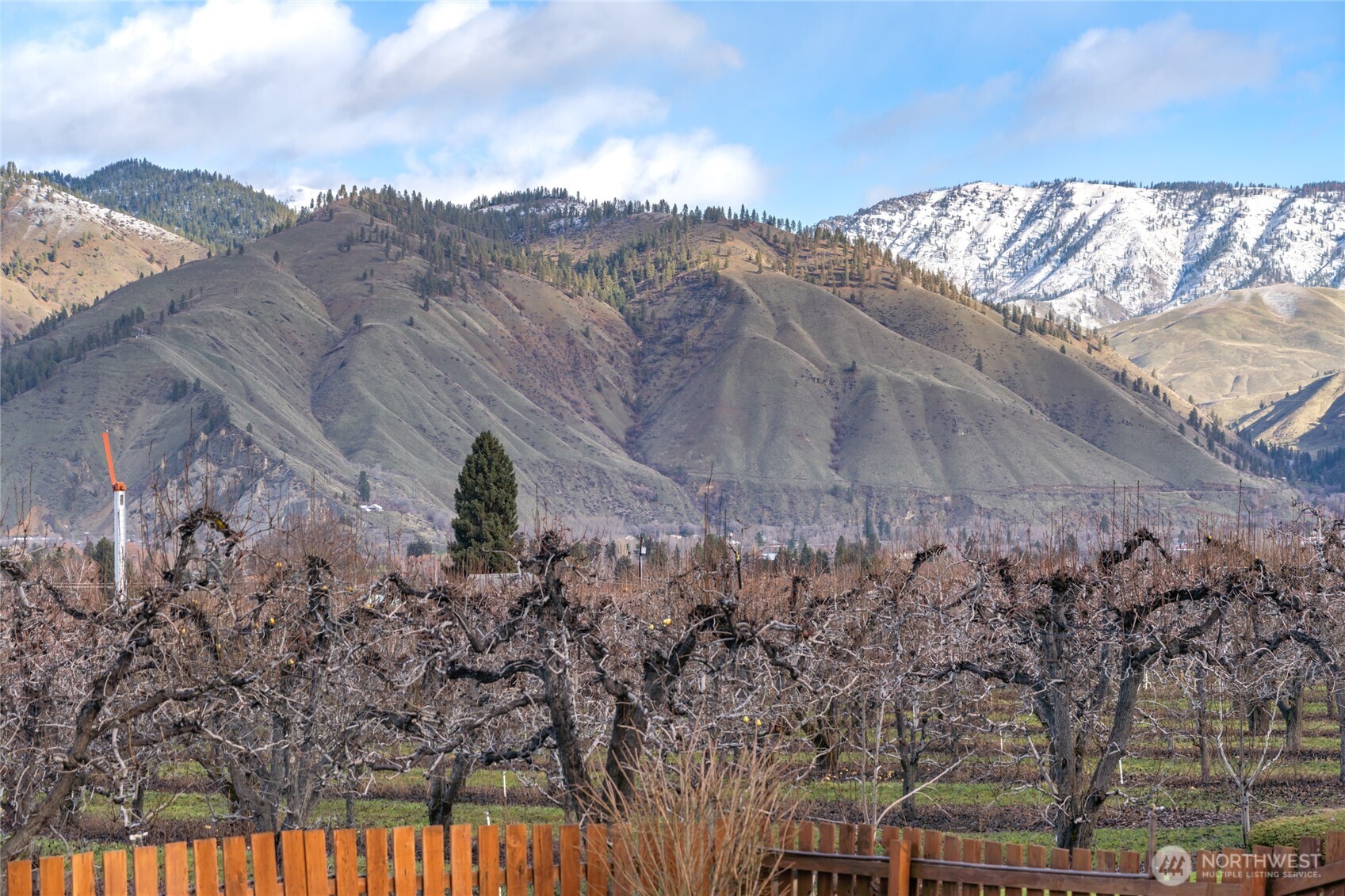 6111 Tigner Road Cashmere, WA 98815 - Photo 15 of 34