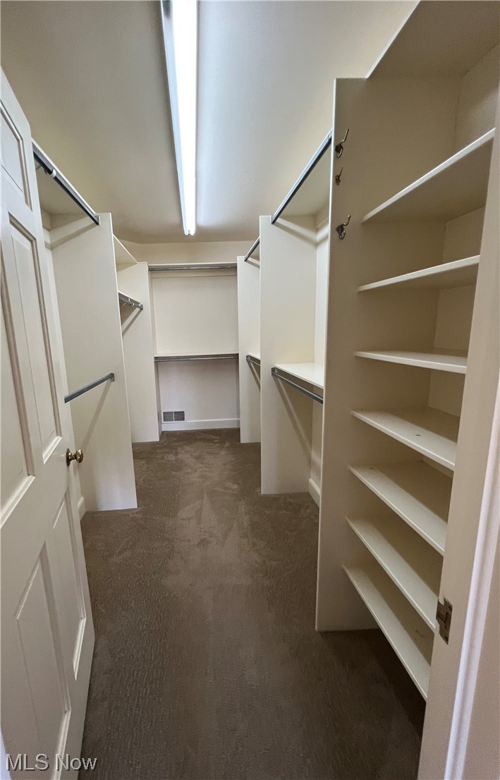 1175 East Calla Road, Unit C111 Youngstown, OH 44514 - Photo 20 of 33 Master walk in closet