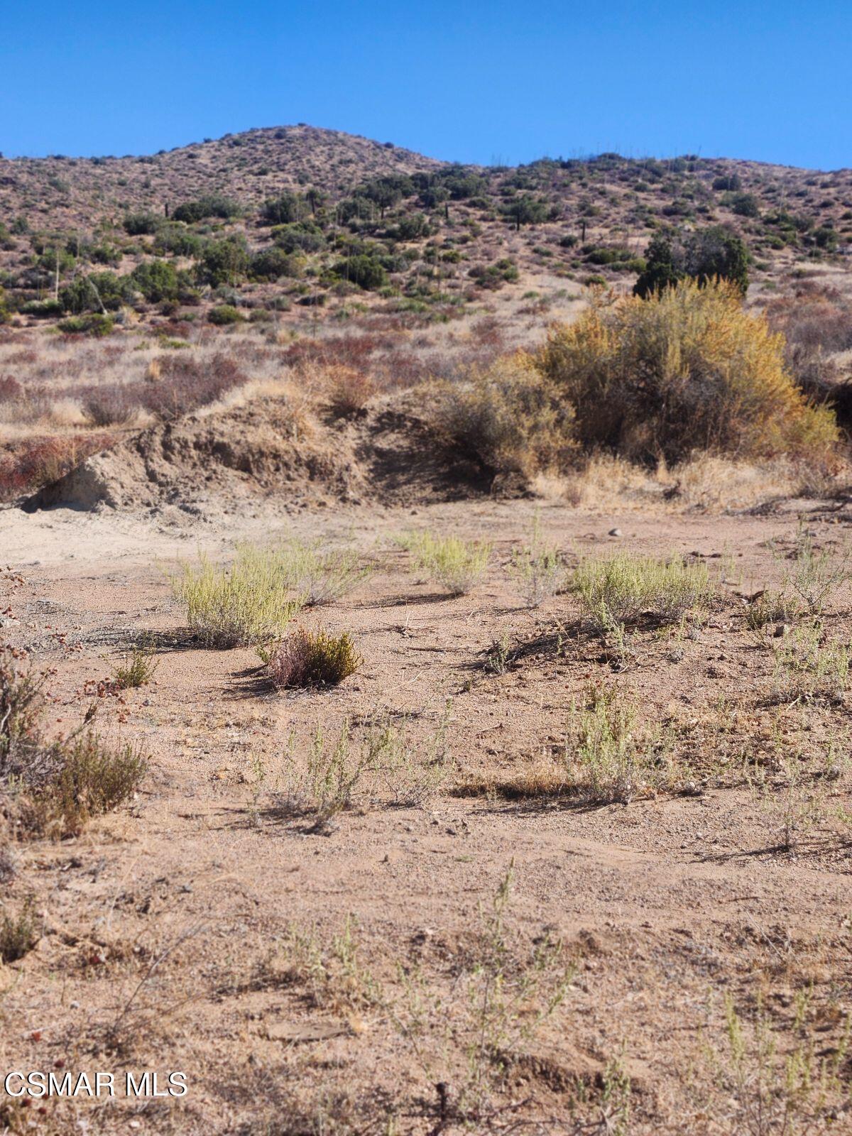 Iowa Avenue Acton, CA 93510 - Photo 2 of 8 a view of ocean view and mountain
