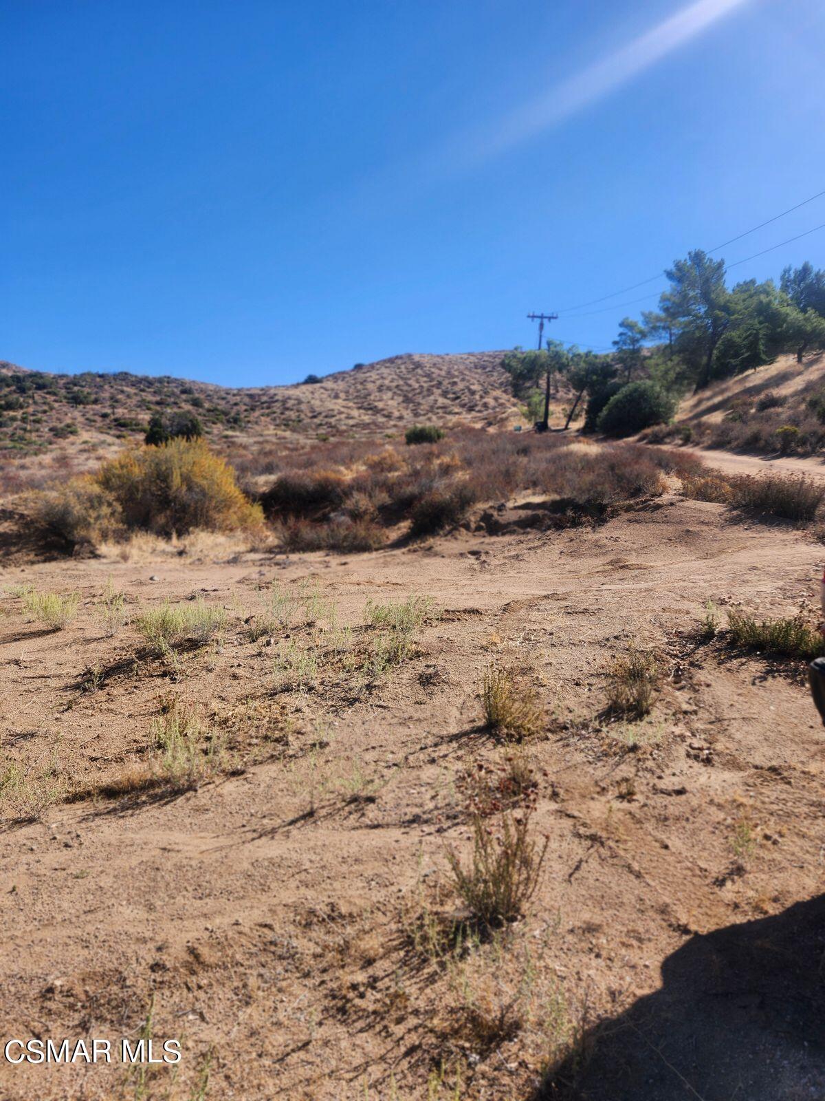 Iowa Avenue Acton, CA 93510 - Photo 6 of 8