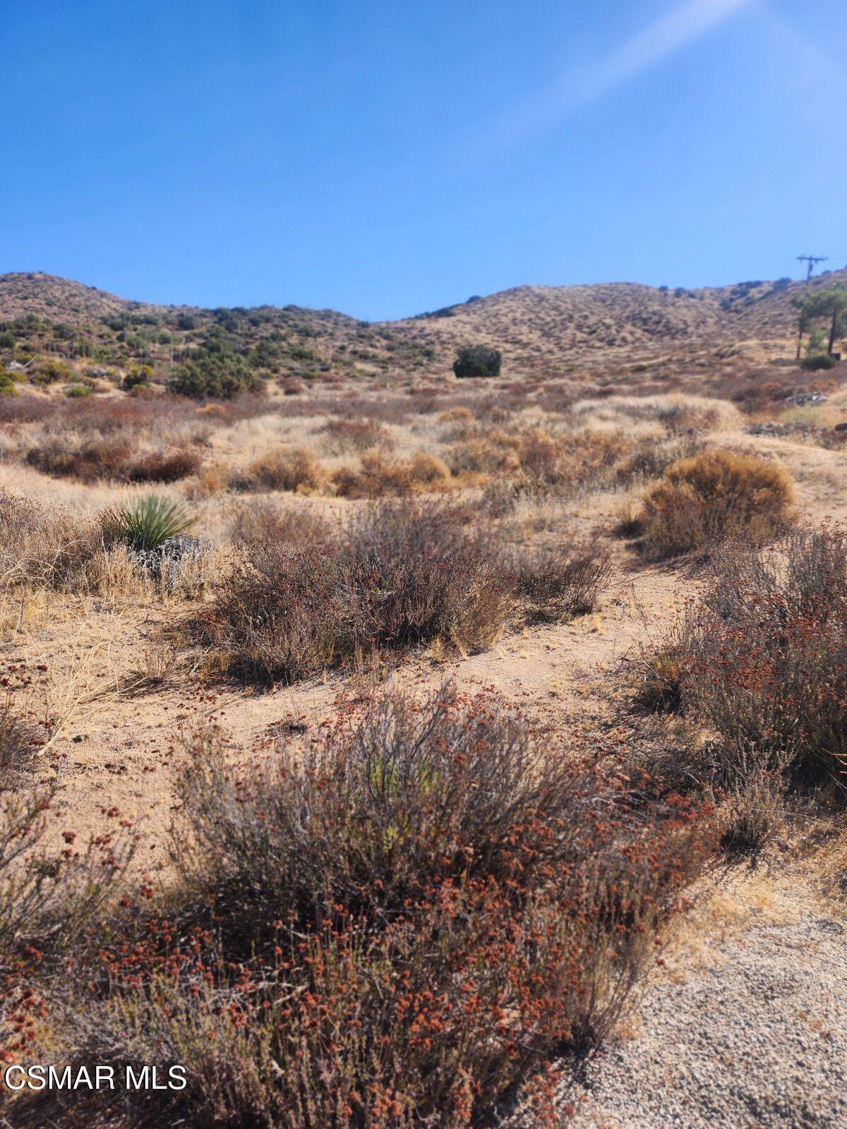 Iowa Avenue Acton, CA 93510 - Photo 7 of 8 a view of a field
