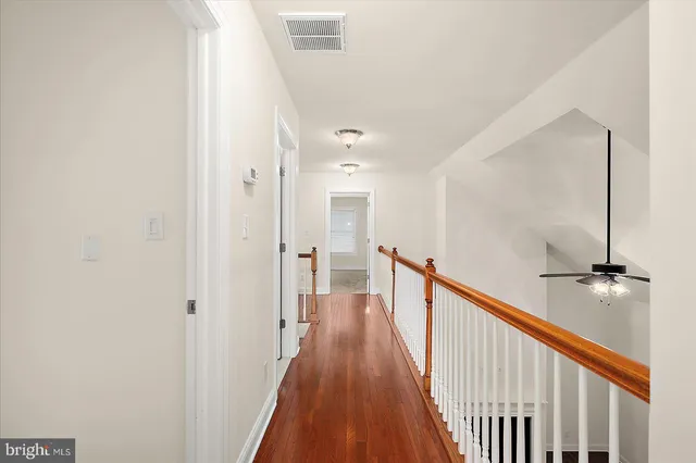 a view of a park with large trees